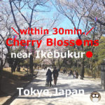 Cherry Blossoms（Sakura）【12Spots】 near Ikebukuro（Tokyo,Japan）