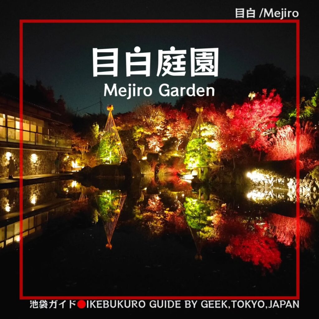 The autumn leaves are lit up during the peak season（fees apply）.