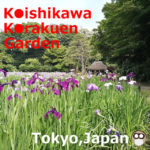 Koishikawa Korakuen Garden(Tokyo,Japan)