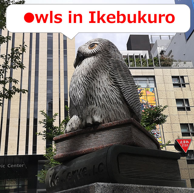 Owls in Ikebukuro