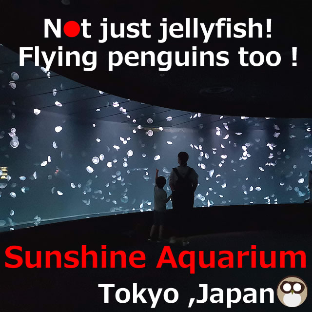 Jellyfish at Sunshine City Aquarium,Tokyo, Japan