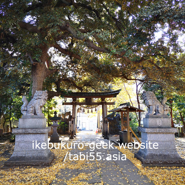 Nagasaki Jinja Shrine/Autumn Leaves near Ikebukuro【within 30min】