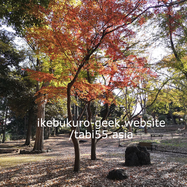 Asukayama Park/Autumn Leaves near Ikebukuro【within 30min】