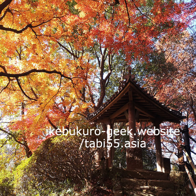 Tetsugaku-do Park/Autumn Leaves near Ikebukuro【within 30min】