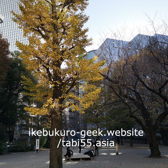 Higashi Ikebukuro Park/Autumn leaves in Ikebukuro