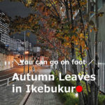 Autumn leaves【10】 in Ikebukuro,Tokyo , Japan