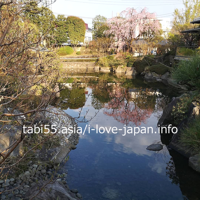 【池袋西口】池に映る逆さ枝垂れ桜をミニ日本庭園で満喫！目白庭園