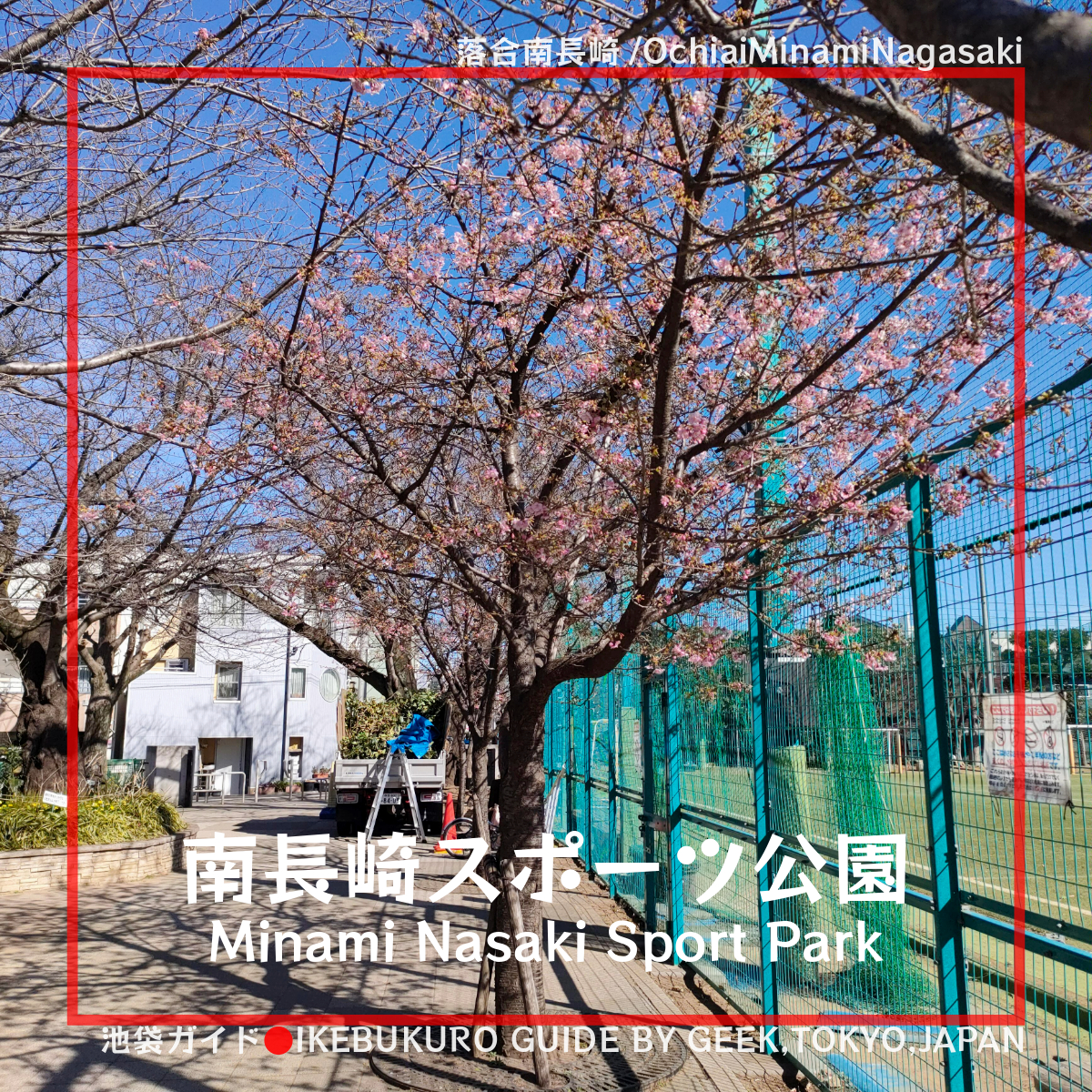 サッカー場の横に桜が連なる！南長崎スポーツ公園