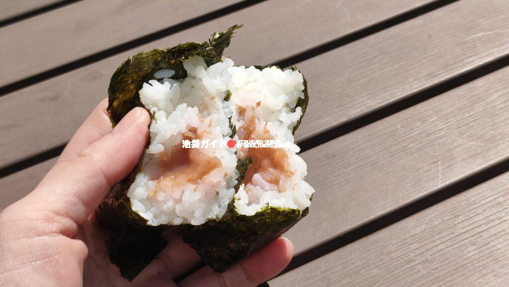 【梅干し】Umeboshi (Pickled Plum) – The Traditional Sour Kick