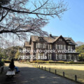 Kyu-Furukawa Garden sakura@Kyu-Furukawa Garden