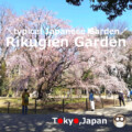 Rikugien Garden Rikugien Garden!light up in Sakura,Autumn season (Tokyo,Japan)