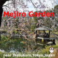 Mejiro Garden!Spring and autumn are recommended(Tokyo,Japan)