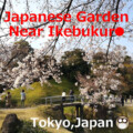 【Summary】Japanese Garden Japanese Garden near Ikebukuro(Tokyo, Japan)