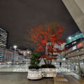 Daiya Gate Ikebukuro Daiya Gate Ikebukuro/Autumn leaves in Ikebukuro