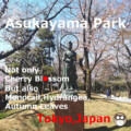 Asukayama Park Asukayama Park!Cherry Blossom×Hydrangea,Tokyo