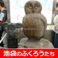 池袋のふくろう 池袋のふくろうはどこにいる?東口も西口も!由来は?